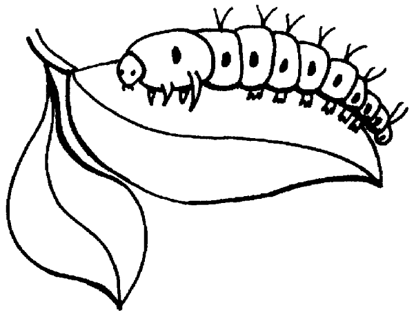 spring insects coloring pages - photo #17