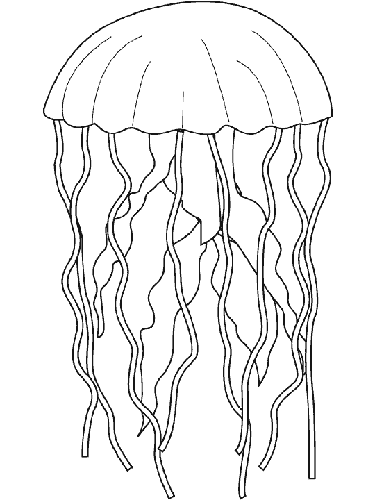 medusa-03.gif