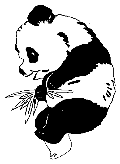 Oso-Panda-02.gif