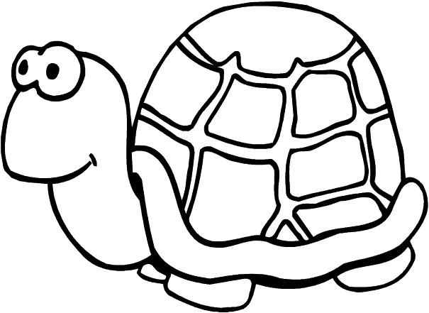 galapagos turtle coloring pages - photo #47
