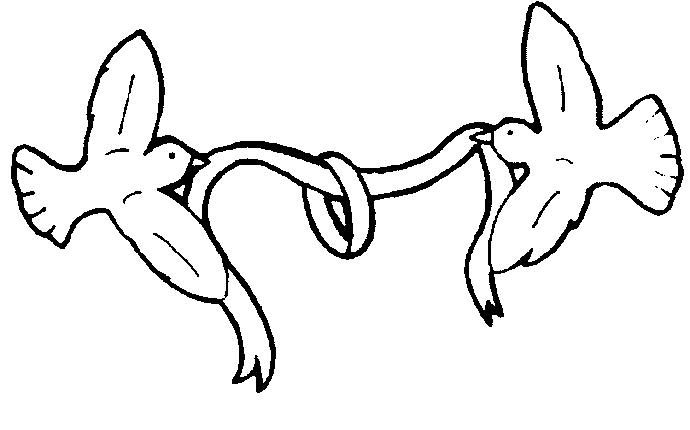 Boda Dibujo
