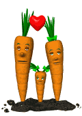 Zanahorias-11.gif