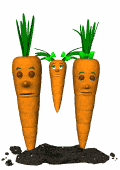 Zanahorias-12.gif