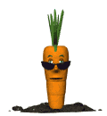 Zanahorias-14.gif
