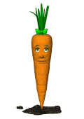 Zanahorias-15.gif