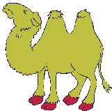 Camellos-04.gif