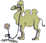 Camellos-05.gif