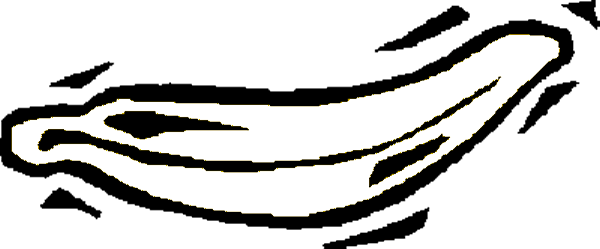 Plantilla-colorear-Platanos-02.gif
