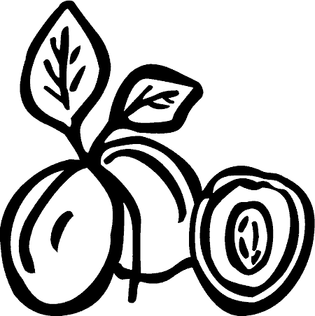 fruta-06.gif