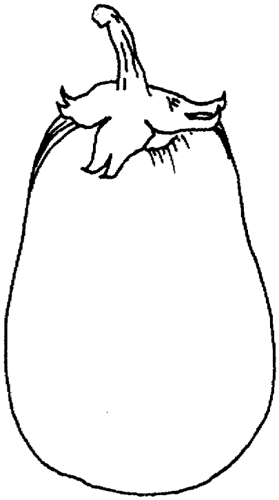 verduras-10.gif