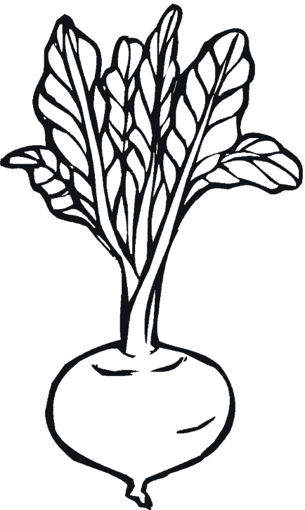 verduras-14.gif