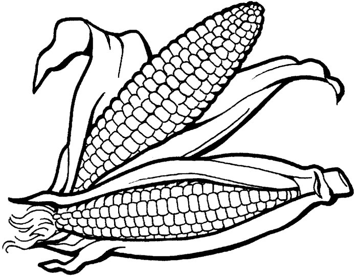 verduras-19.gif