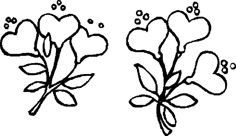 flores-04.gif