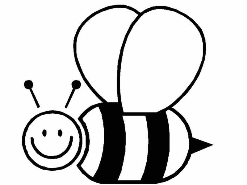AhiVa! PequeNautas - Plantillas para colorear - Animales - Abejas AhiVa! PequeNautas - Plantillas para colorear - Animales - Abejas