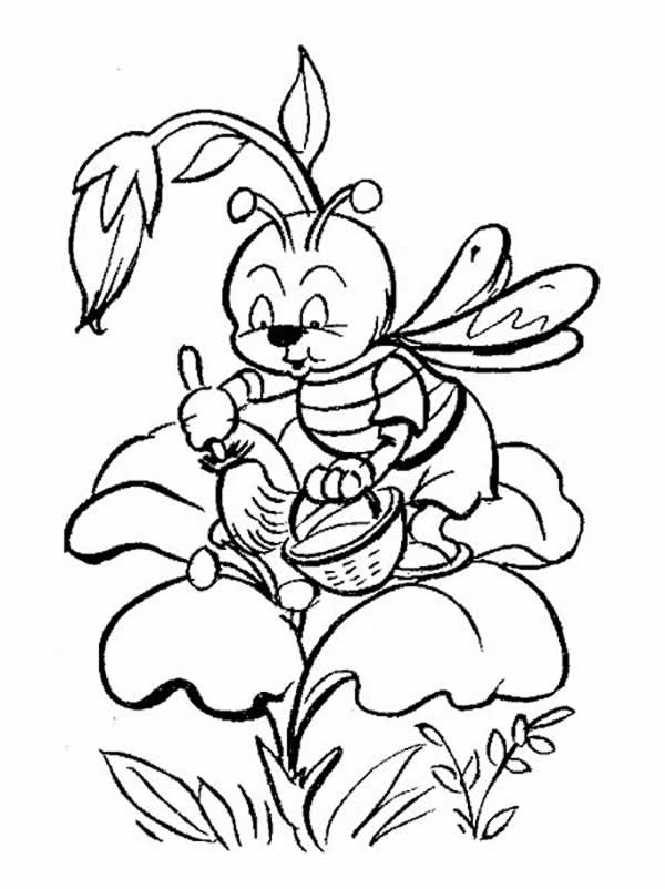 abeja-05.jpg