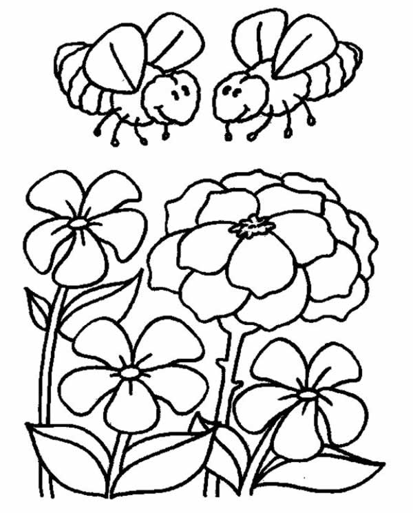 abeja-06.jpg