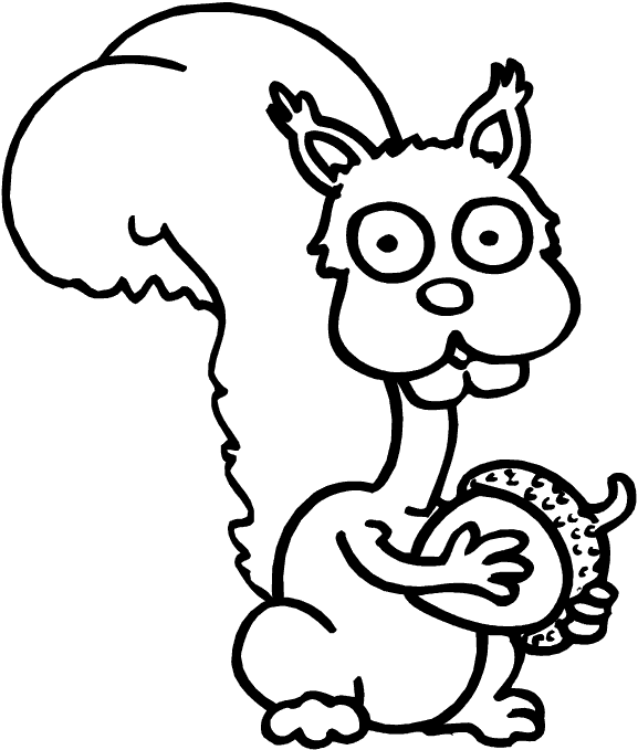 ardilla-14.gif