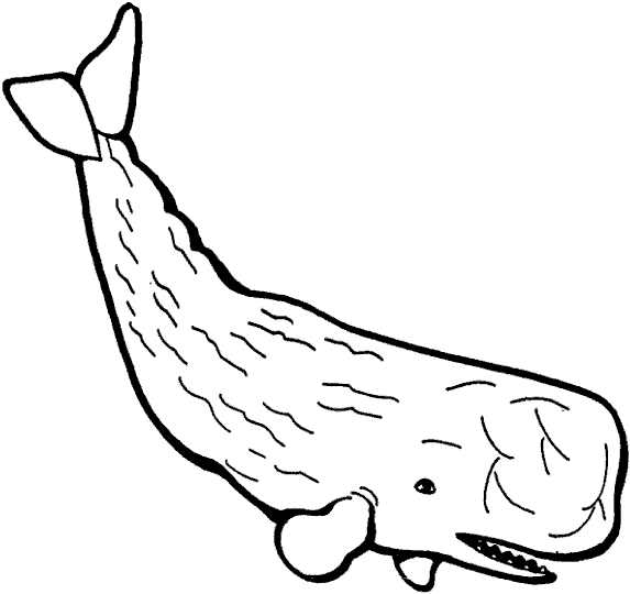 ballena-10.gif