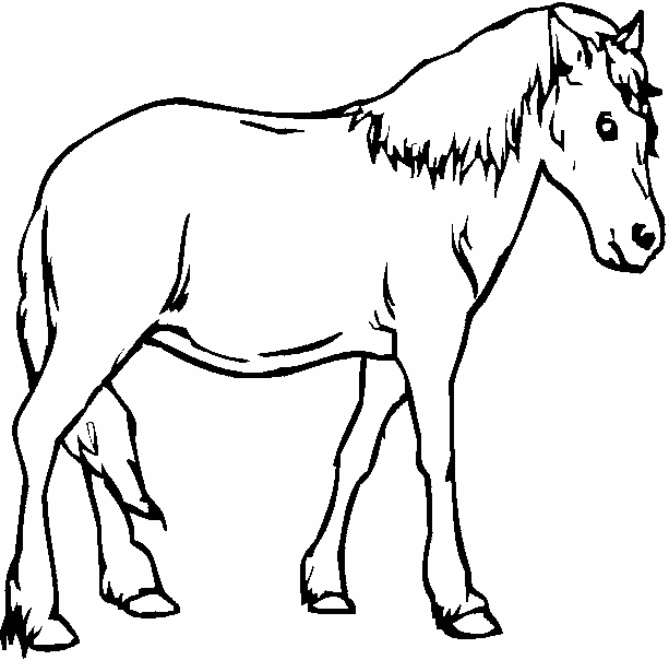 caballo-17.gif