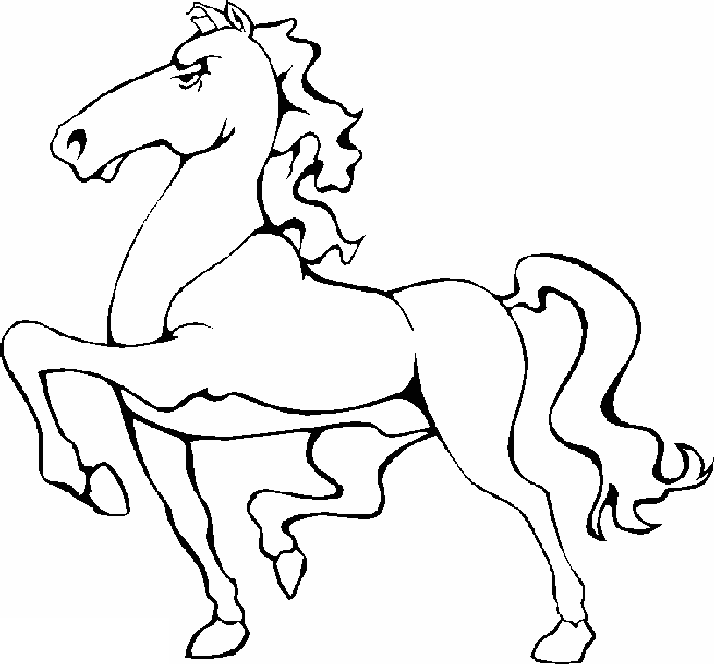 caballo-19.gif