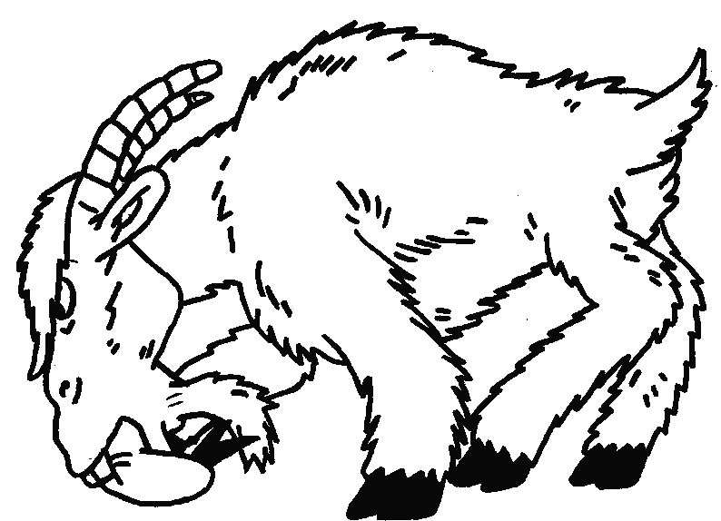 cabra-06.gif
