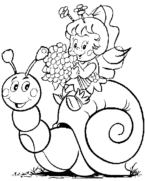 caracol-05.gif