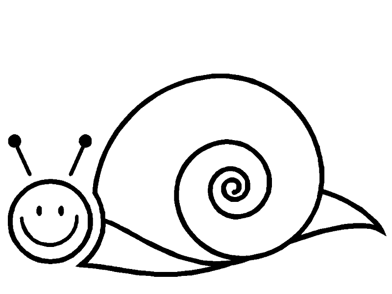 caracol-07.gif