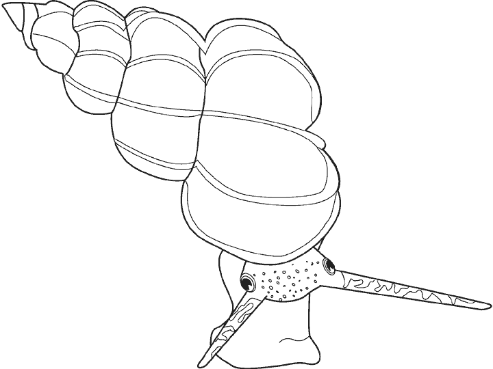 caracol-09.gif
