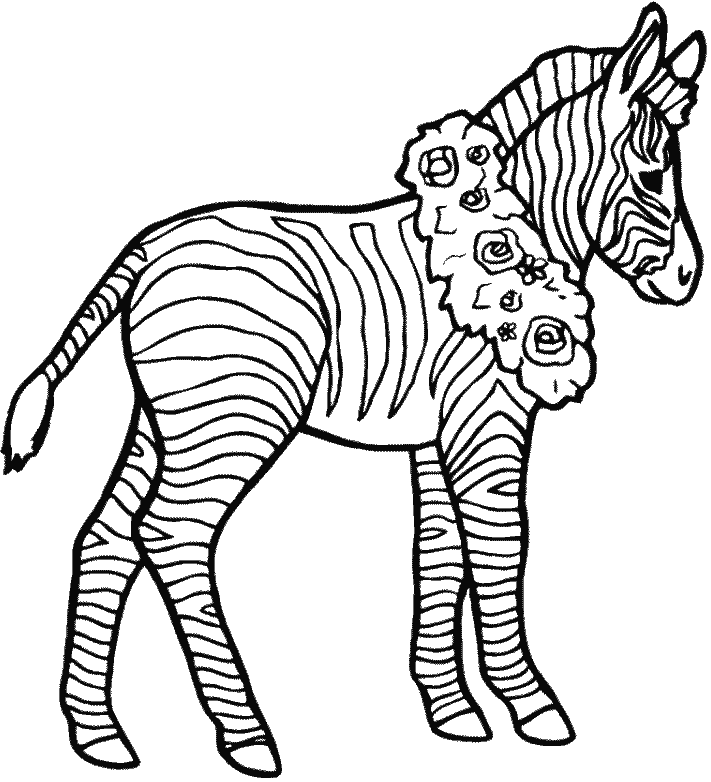 Cebra-02.gif