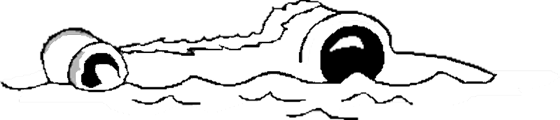 cocodrilo-15.gif