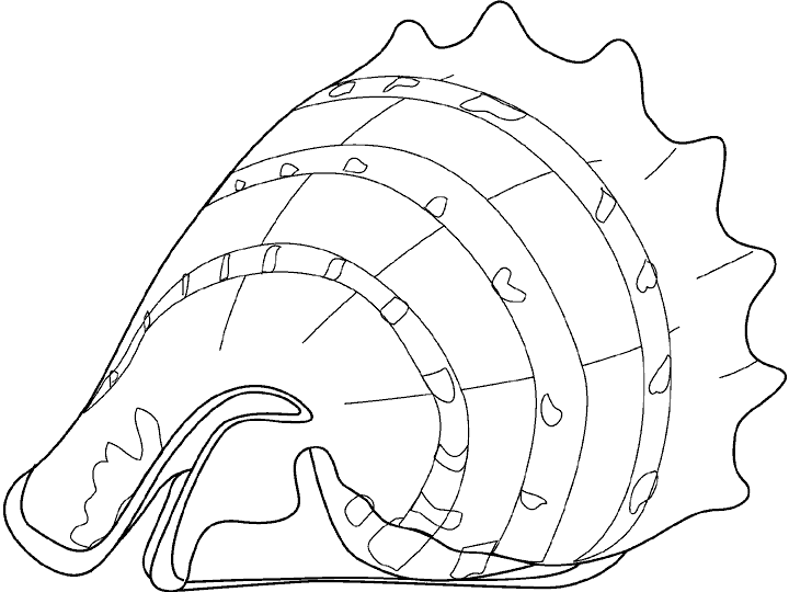 Crustaceo-02.gif