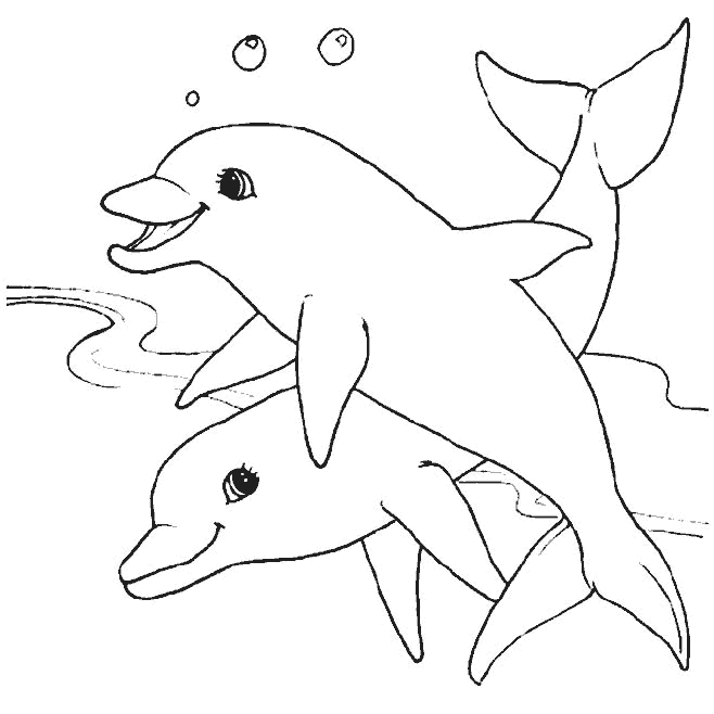 delfin-03.gif
