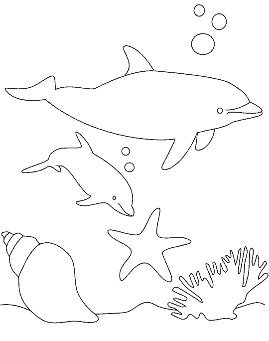 AhiVa! PequeNautas - Plantillas para colorear - Animales - Delfines