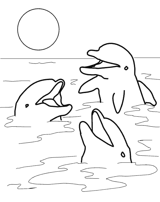 delfin-07.gif