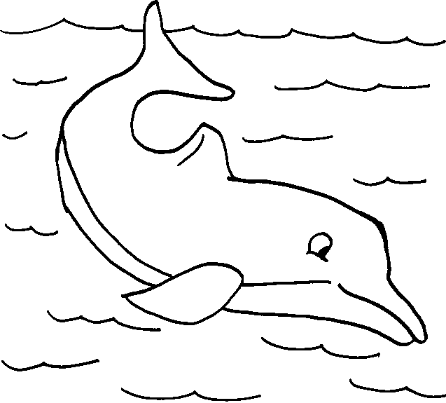 delfin-11.gif