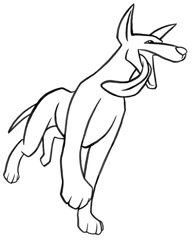 dingo-01.jpg