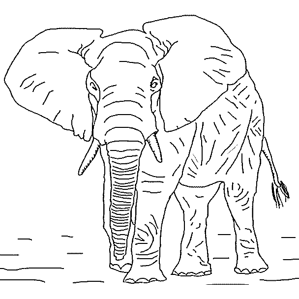 elefante-04.gif