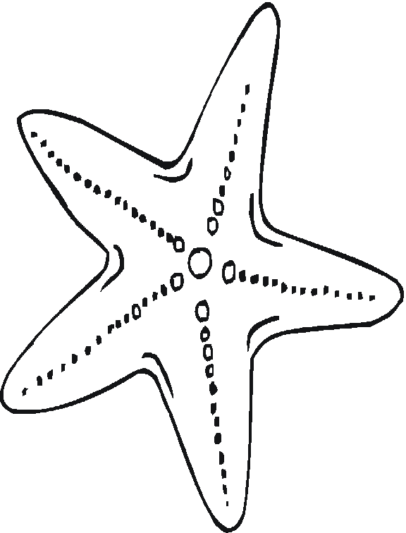 Estrella-de-Mar-06.gif