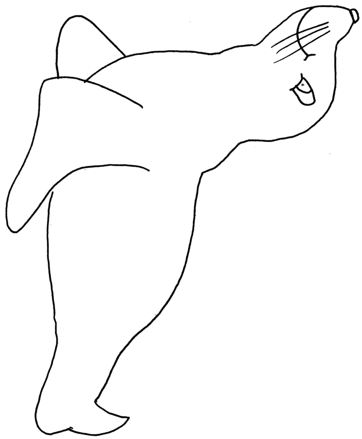 foca-03.gif