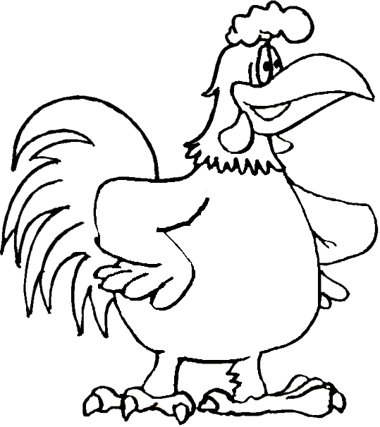 Gallo-05.gif