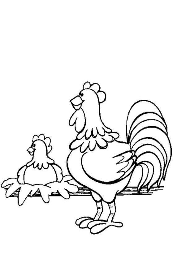 AhiVa! PequeNautas - Plantillas para colorear - Animales - Gallos Gallinas AhiVa! PequeNautas - Plantillas para colorear - Animales - Gallos Gallinas