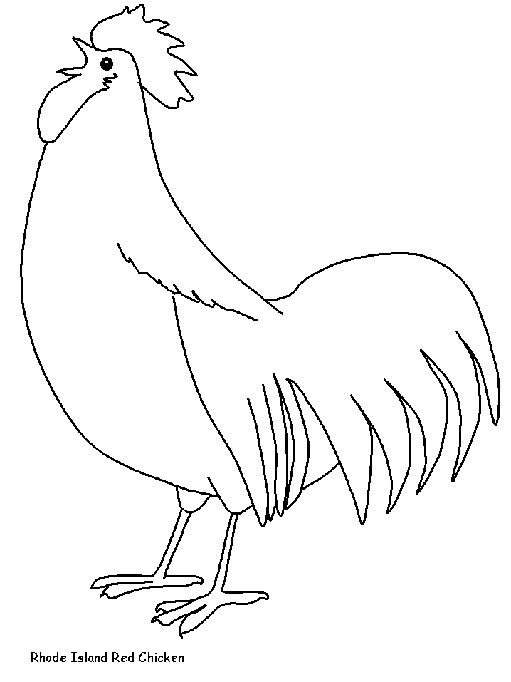 Gallo-13.gif