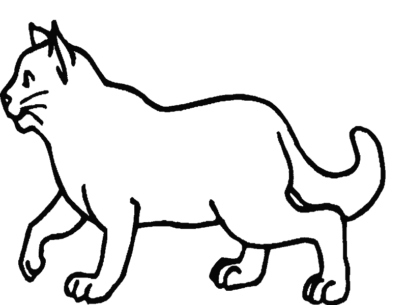 gato-02.gif