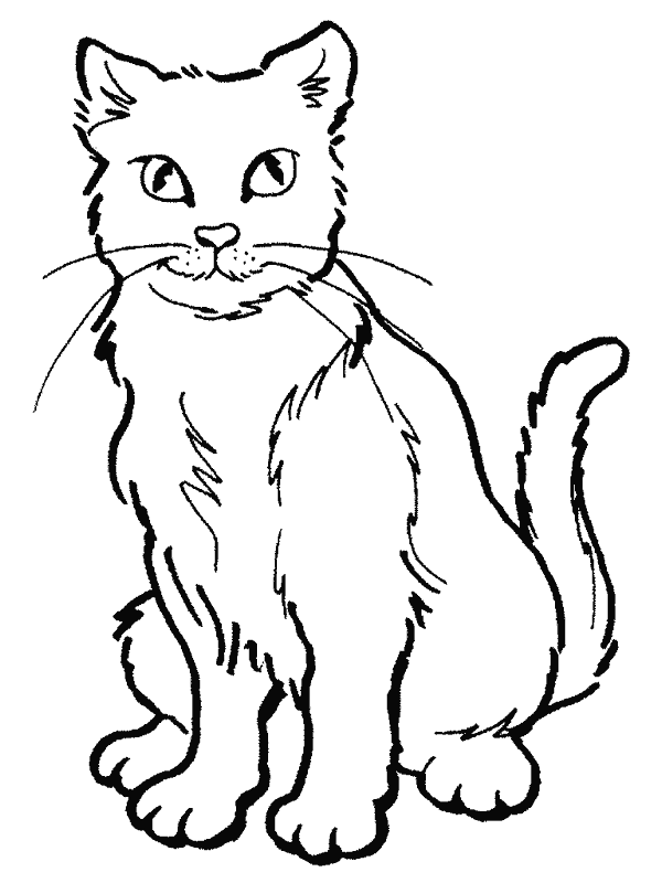 gato-03.gif