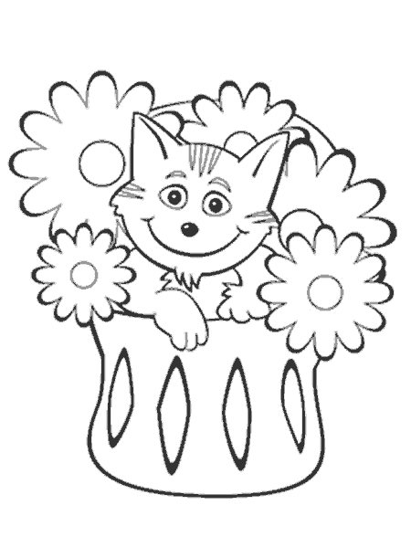 gato-04.gif
