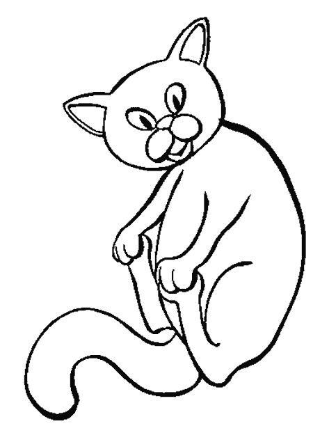gato-05.gif