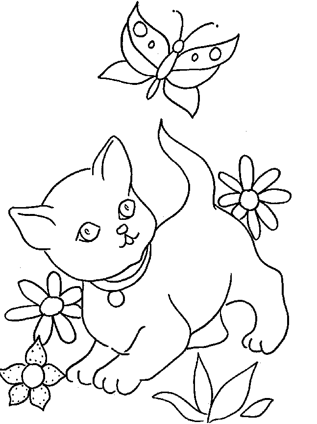 gato-10.gif