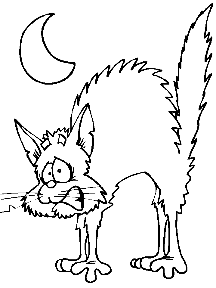 gato-13.gif