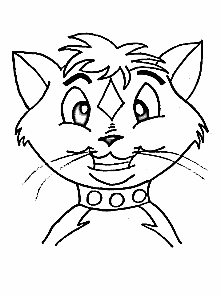 gato-15.gif