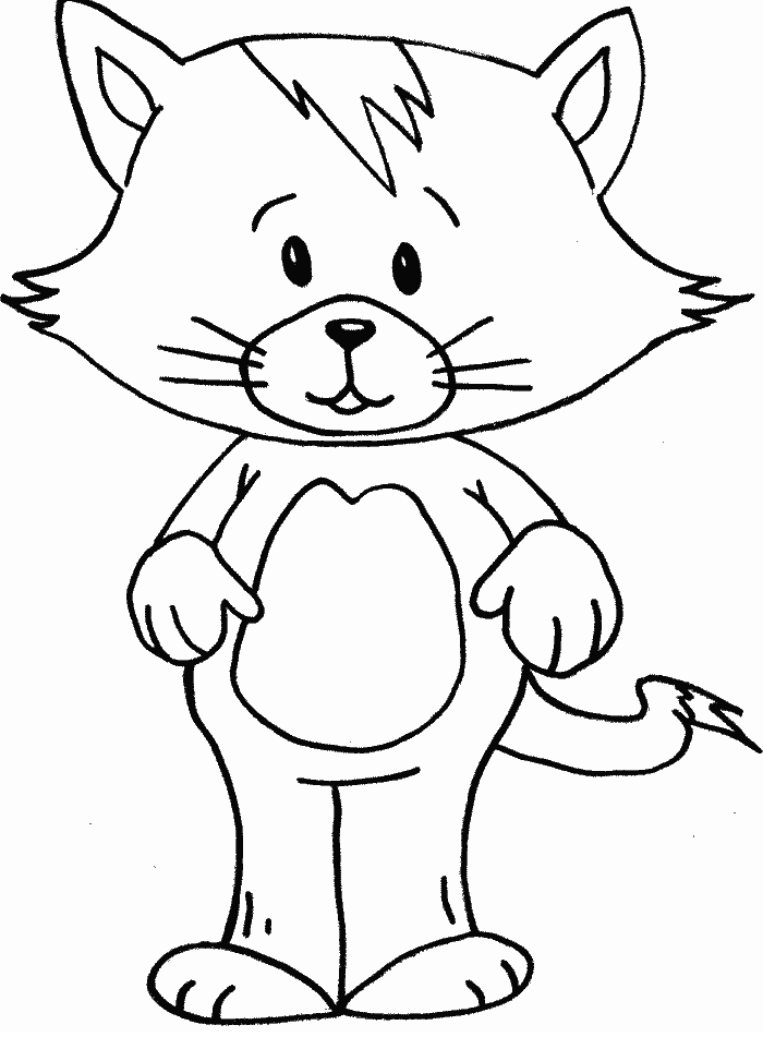 gato-16.gif